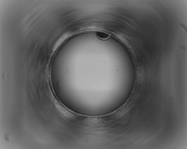 X0000103461474200809121552