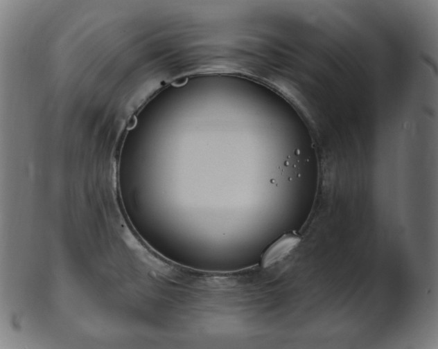 X0000103461476200809121552