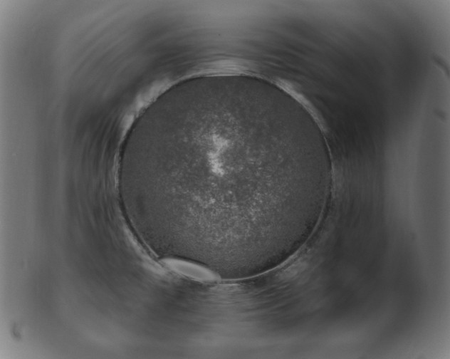 X0000103461477200809121552