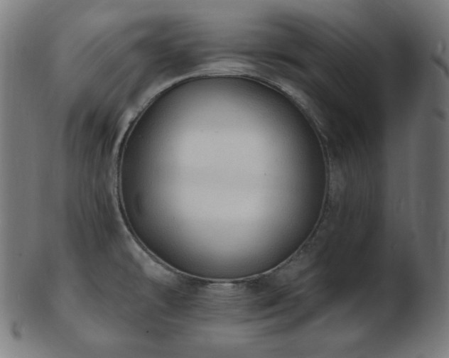 X0000103461478200809121552