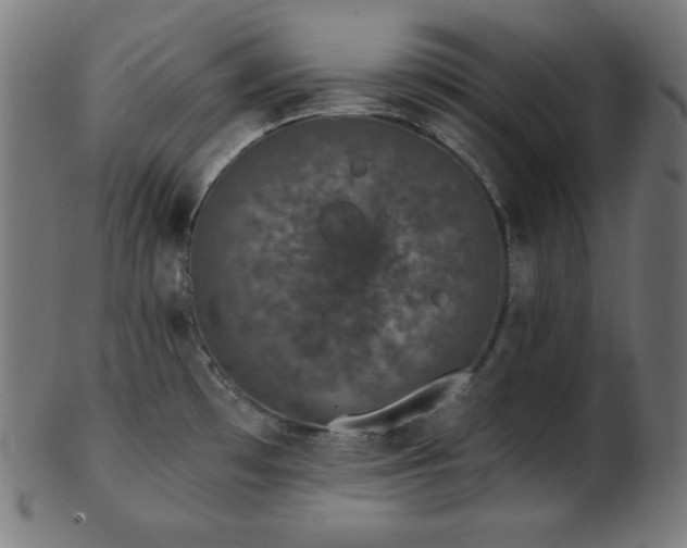 X0000103461481200809121552
