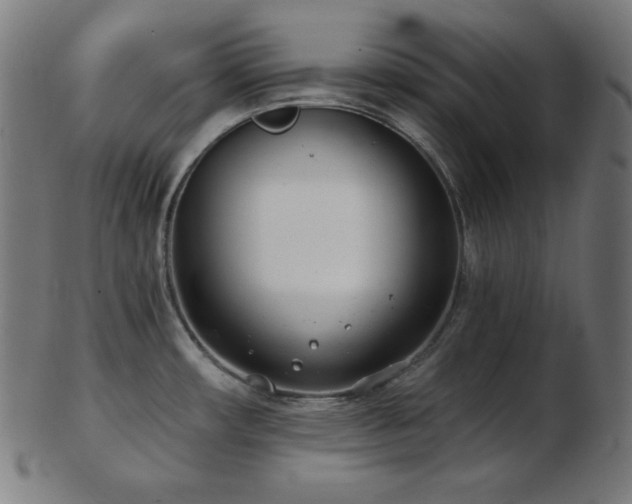 X0000103461482200809121552