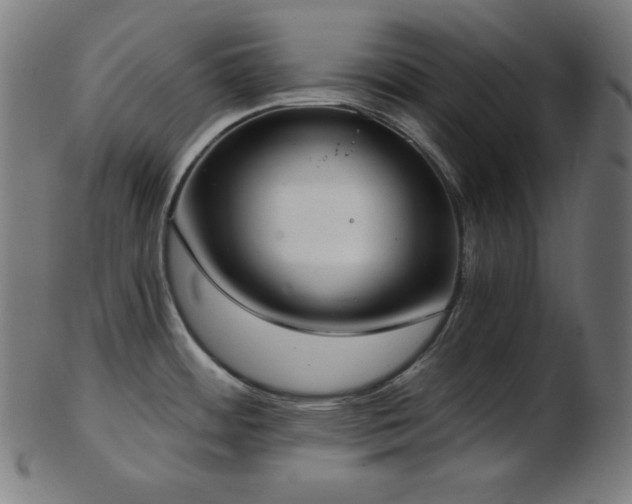 X0000103461484200809121552