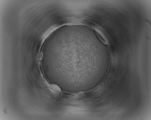 X0000103461485200809121552