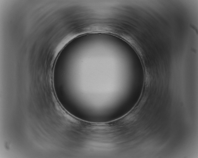 X0000103461486200809121552