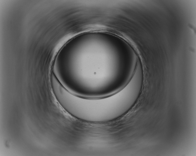 X0000103461488200809121552