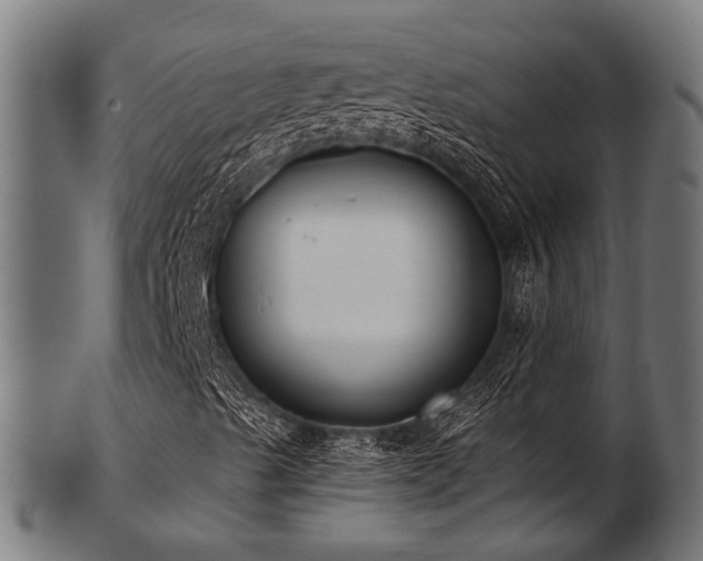 X0000103461489200809121551