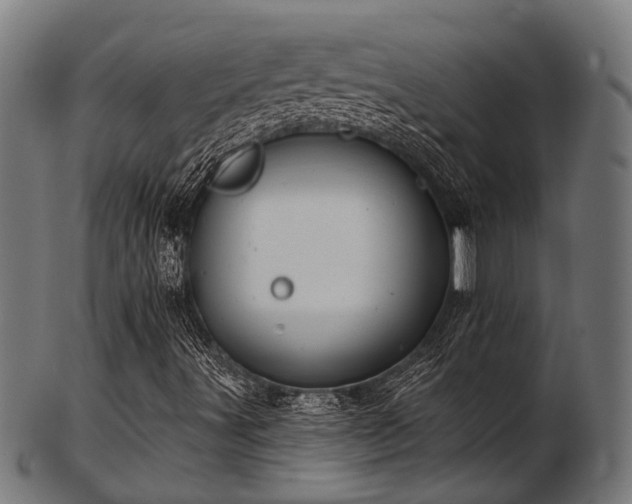 X0000103461491200809121551
