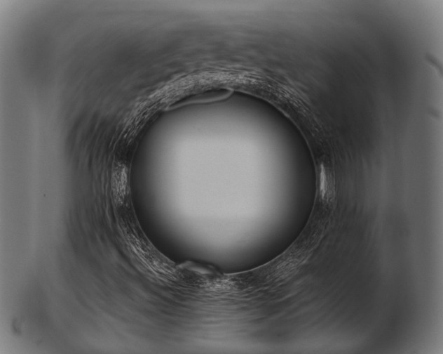 X0000103461492200809121551