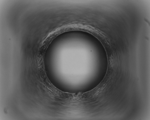 X0000103461494200809121551