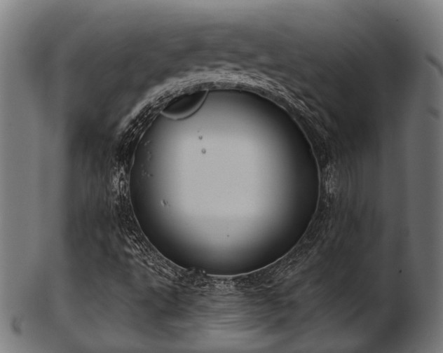 X0000103461495200809121551