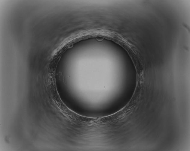 X0000103461496200809121551