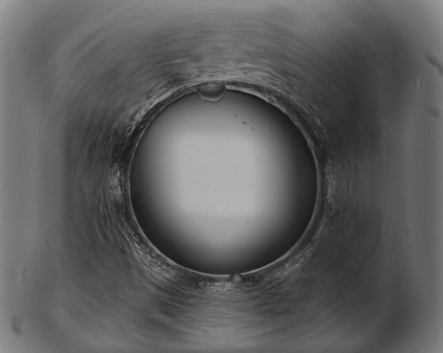 X0000103461497200809121551