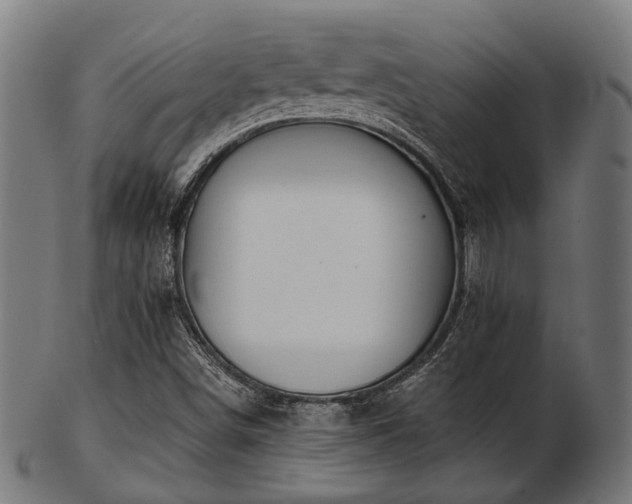 X0000103461498200809121551
