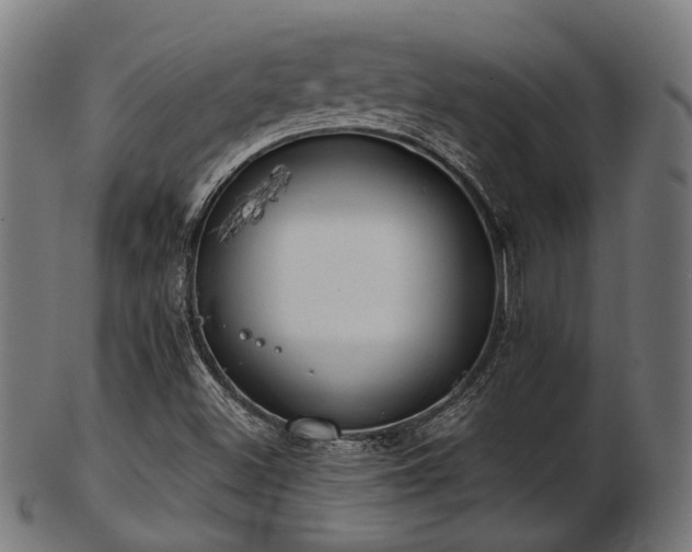 X0000103461500200809121551