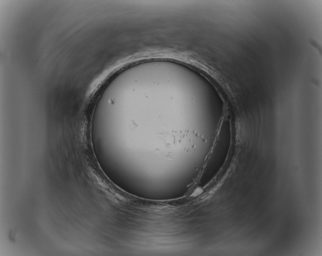 X0000103461502200809121551