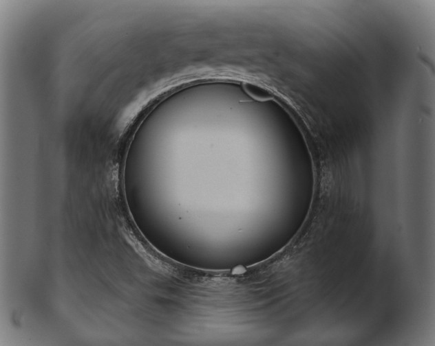 X0000103461503200809121551