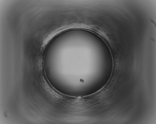 X0000103461504200809121551