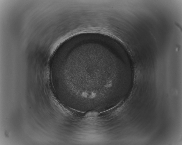 X0000103461506200809121551