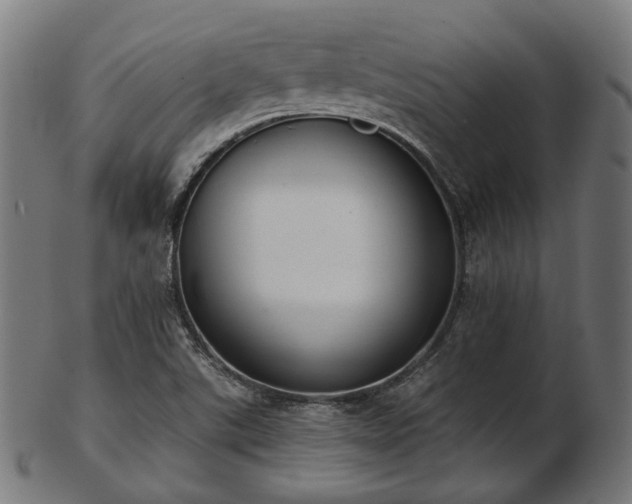 X0000103461507200809121551