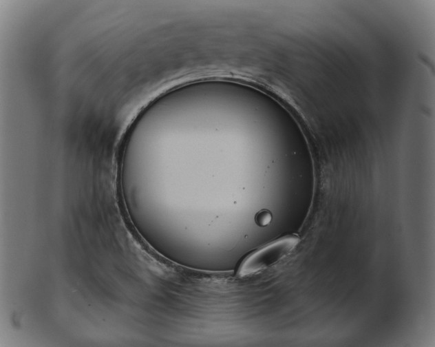 X0000103461508200809121551