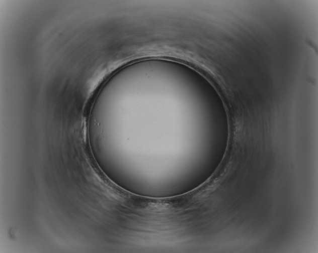 X0000103461509200809121551