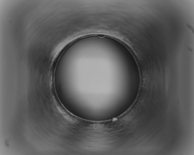 X0000103461511200809121551