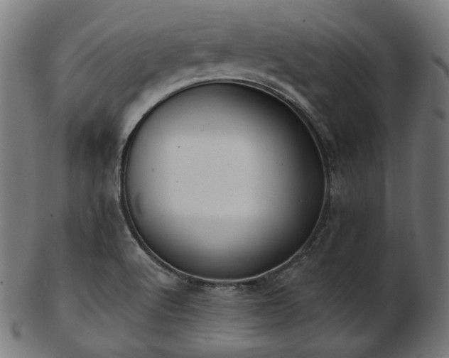 X0000103461512200809121551