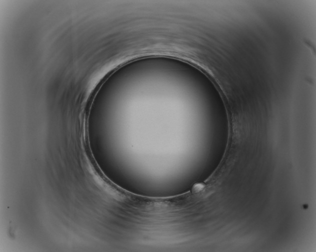X0000103461515200809121551