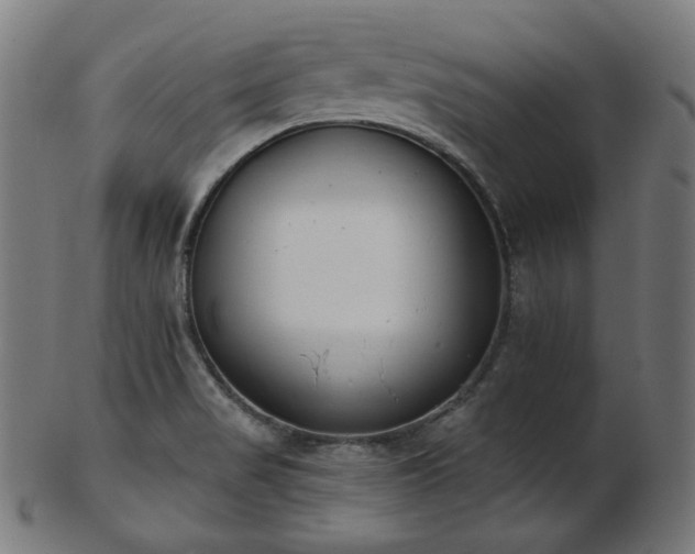 X0000103461517200809121551