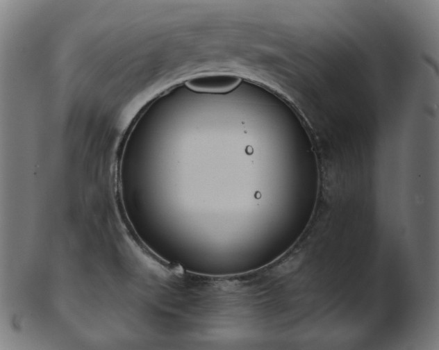 X0000103461519200809121551