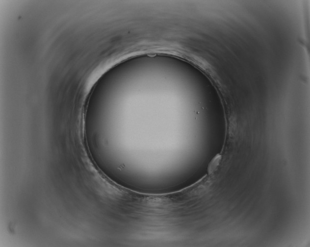 X0000103461520200809121551