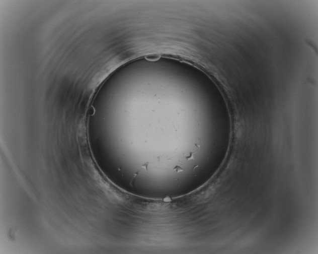 X0000103461521200809121552