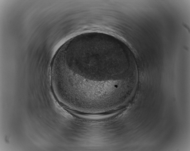 X0000103461522200809121552