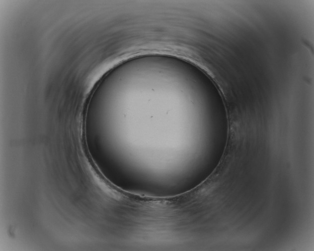 X0000103461523200809121552