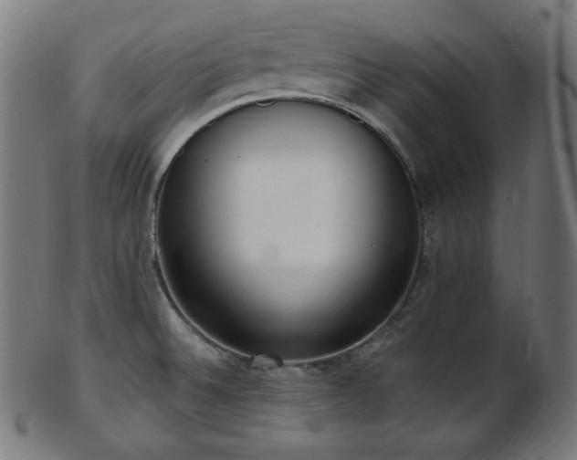 X0000103461524200809121552
