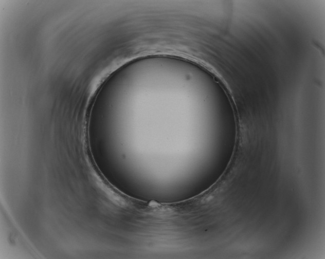 X0000103461525200809121552