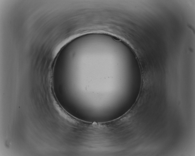 X0000103461526200809121552
