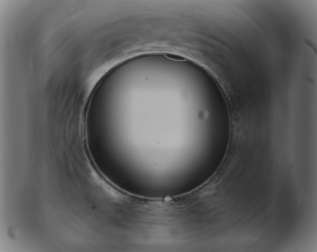 X0000103461527200809121552