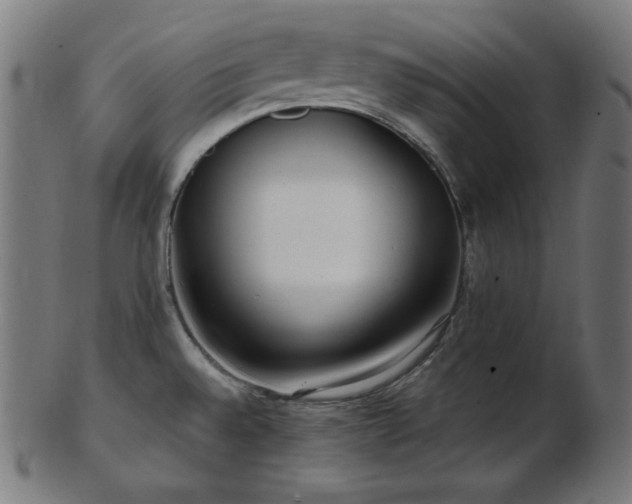 X0000103461528200809121552
