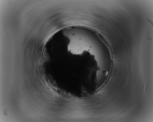 X0000103461529200809121552
