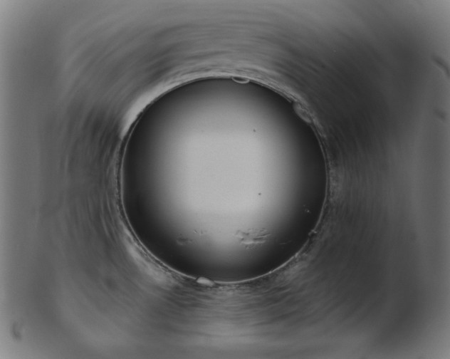 X0000103461530200809121552