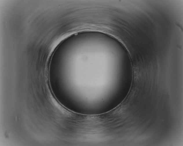 X0000103461531200809121552