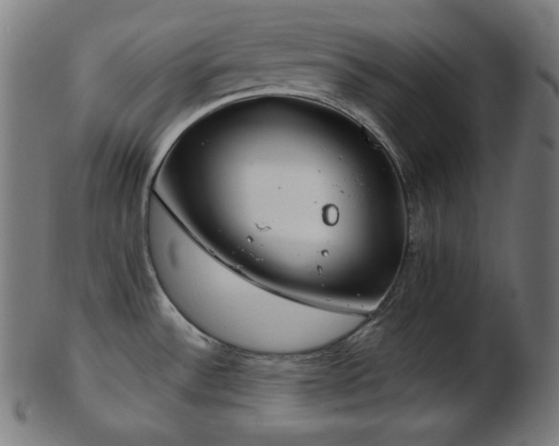 X0000103461532200809121552