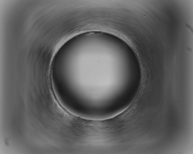 X0000103461536200809121552