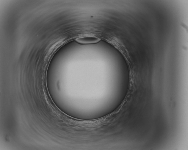 X0000103460001200809191822