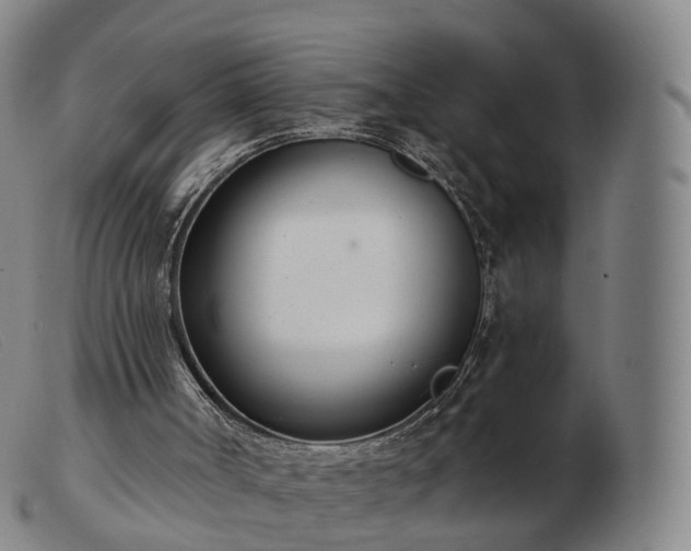 X0000103460002200809191822