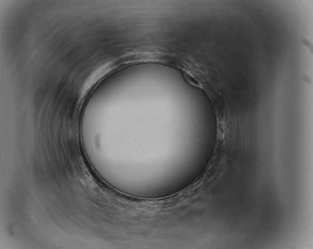 X0000103460004200809191822