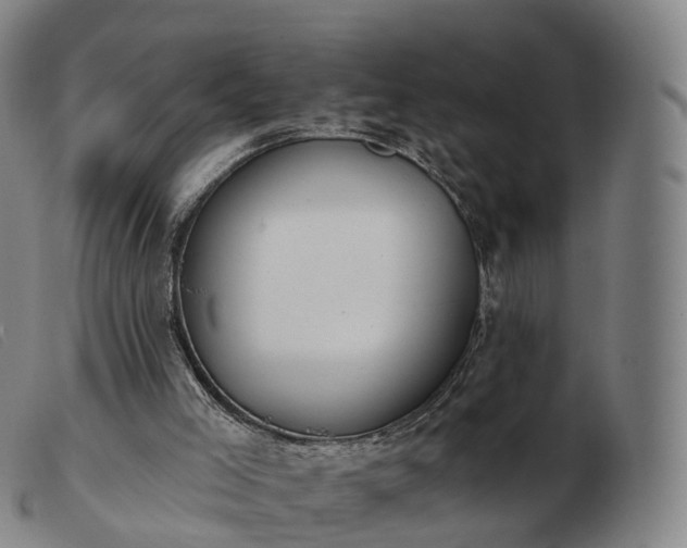 X0000103460005200809191822