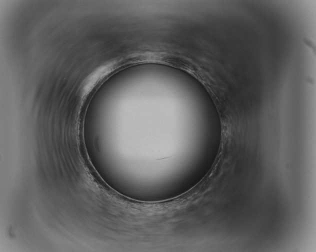 X0000103460006200809191822